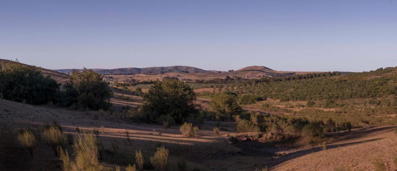Posada La Serena ميناس المظهر الخارجي الصورة