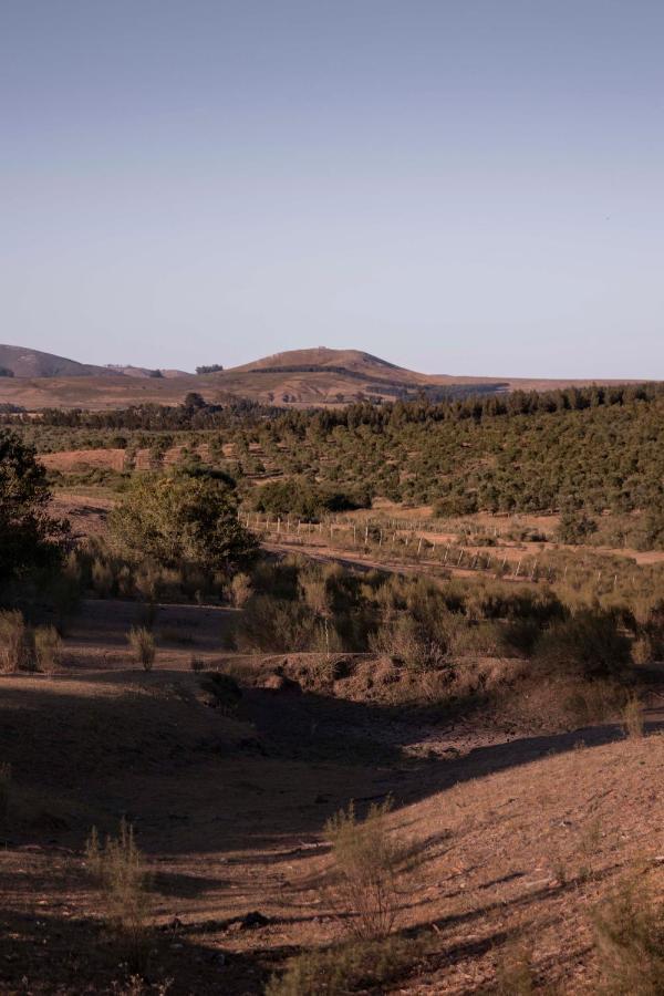 Posada La Serena ميناس المظهر الخارجي الصورة